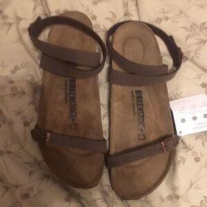 Birkenstock Daloa Birkibuc Sandals in Mocha